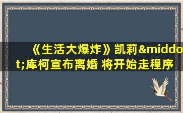 《生活大爆炸》凯莉·库柯宣布离婚 将开始走程序